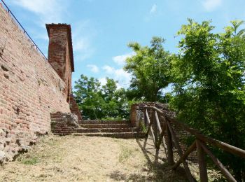 Tocht Te voet Certaldo - Dolce campagna, antiche mura 7 - Photo