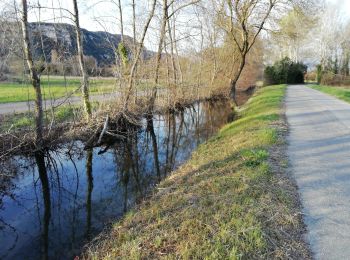 Randonnée Marche Meysse - Meysse 6km - Photo