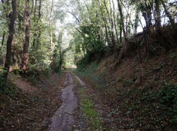 Randonnée V.T.T. Saint-Priest - 69-vtt-ST-Priest-fouillouse-St-Bonnet-28km - Photo