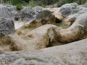 Tocht Stappen Navacelles - Les Aiguieres Hameau de Cal  - Photo