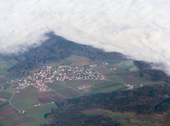 Randonnée A pied Illnau-Effretikon - Effretikon - Fluntern - Photo