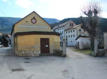 Randonnée A pied Gemeinde Waldegg - Hammerlweg - Photo