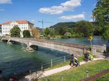 Tour Zu Fuß Windisch - Unterwiindisch - Turgi - Photo