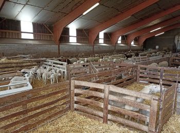 Randonnée Marche La Couvertoirade - petite balade à La Couvertoirade - Photo