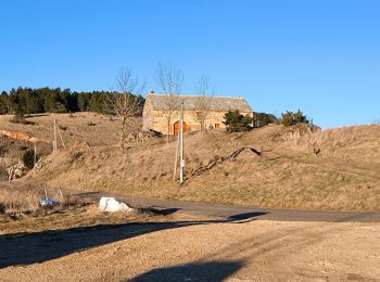 Tour Wandern Saint-Étienne-du-Valdonnez - Montmirat - Photo