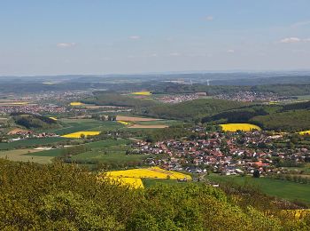 Percorso A piedi Gladenbach - Rimbergweg - Photo