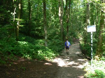 Tocht Stappen Luik - Grivegnée Beyne-Heusay Jupille Grivegnée - Photo