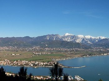 Percorso A piedi Lerici - Bocca Di Magra - Montemarcello - Zanego – Lerici - Photo