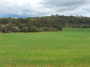 Excursión Senderismo Lançon-Provence - La Fare Lançon - Photo