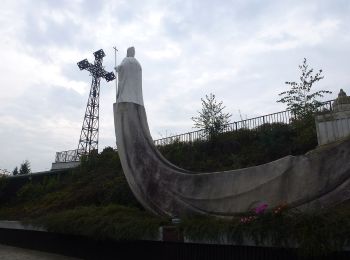 Percorso A piedi  - Szlak Dzików - Photo