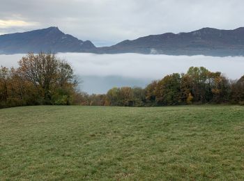 Trail sport Aix-les-Bains - Croix de Corsuet - Photo