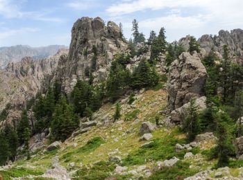 Percorso Marcia Zonza - crêtes chainon de paliri sud - Photo