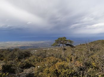 Trail Walking Comigne - Alaric par combe de Migeres  - Photo