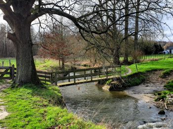 Tocht Stappen Huldenberg - Huldenberg, Up & Down - Photo