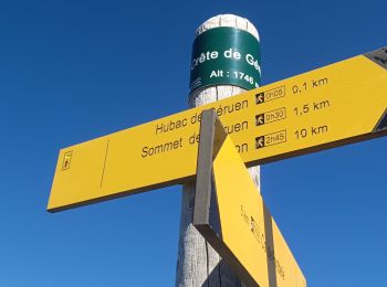 Trail Walking Le Castellard-Mélan - AUTHON . COL DE FONTBELLE .TOUR DE GUERUE.N . N . - Photo