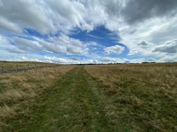 Randonnée Marche Laguiole - Abiouradous Boriettes sentier découverte  - Photo