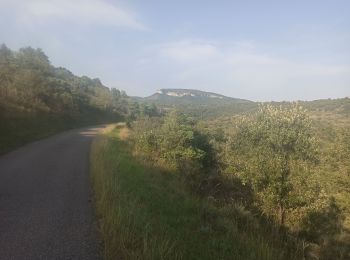 Excursión Bici de montaña Valvignères - Valvigniere Dent de Retz - Photo