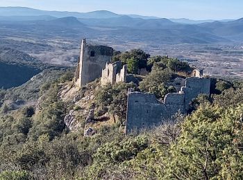 Excursión Senderismo Allègre-les-Fumades - Chateau d'Allegre par les crêtes et défilé d'Argensol  - Photo