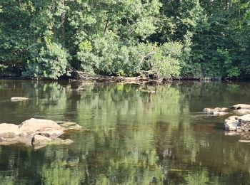 Tocht Stappen Limoges - Limoges bords  de Vienne  - Photo