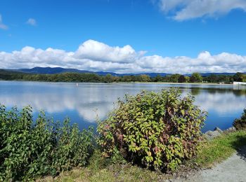 Trail Nordic walking Sermamagny - rando du lion 2025 - Photo