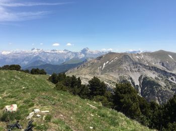 Percorso Marcia Glandage - Belle Motte  - Photo