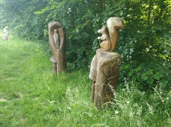 Tour Wandern Bellême - de belleme a l'etang de la herse - Photo