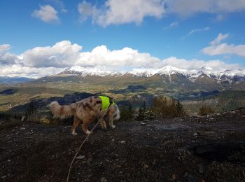 Trail Walking Auzet - Col du Fanget - Photo