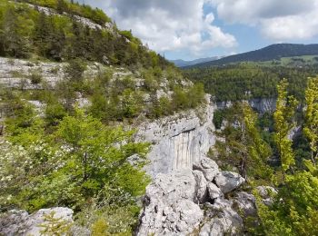 Trail Walking Rencurel - Pas de la Chêvre pas des rages vire de la Ferrière - Photo