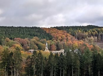 Tocht Mountainbike Theux - Brasero VTT - Photo