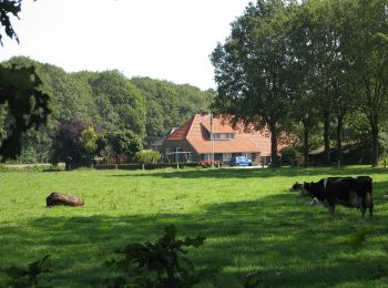 Tocht Te voet Berkelland - Laarzenwandeling Boswachterspad Dolen in Ruurlo - Photo