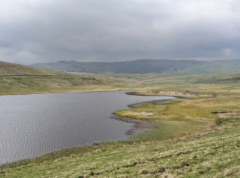 Excursión Senderismo La Godivelle - boucle la godivelle jassy 15km - Photo