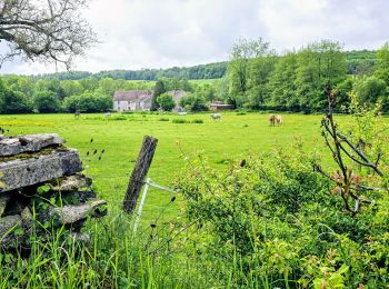 Randonnée Marche Humes-Jorquenay - Boucle 26 km autour de Humes - Photo