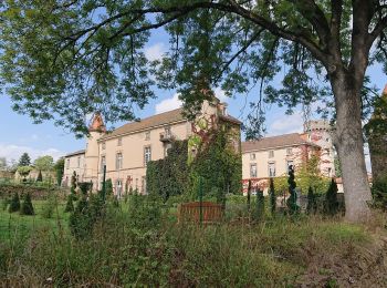 Tour Zu Fuß Arlanc - Le Château de Mons - Photo