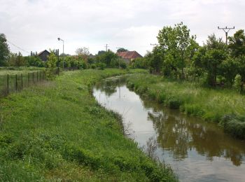 Randonnée A pied Libáň - [Z] Rožďalovice - Křešice - Photo