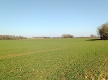 Tour Wandern L'Épine-aux-Bois - L'Epine-aux-Bois du 07-02-2023 - Photo