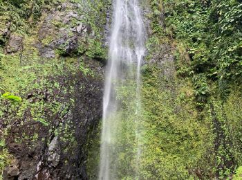 Percorso Camminata nordica Capesterre-Belle-Eau - Chute  - Photo