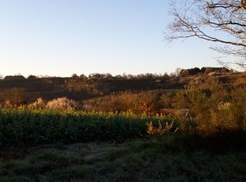 Trail Walking Sèvremoine - st crespin sur moine - Photo