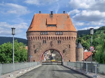 Randonnée A pied Miltenberg - Rundwanderweg Miltenberg 2: Ottosteinweg - Photo