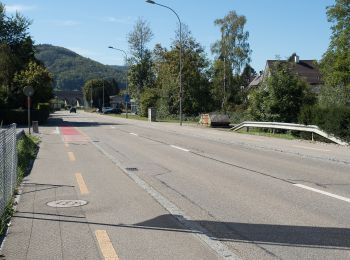 Percorso A piedi Gelterkinden - Gelterkinden - Tecknau - Photo