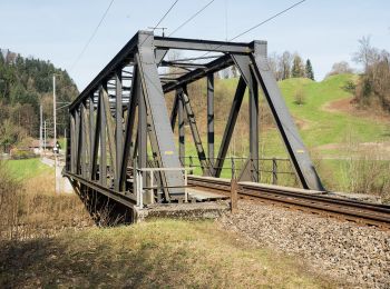 Tour Zu Fuß Ruswil - CH-Werthenstein - Sigigen - Photo