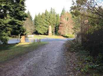 Randonnée Marche Taintrux - 28-12-19-Gachote H-Jacques 17,5KM - Photo