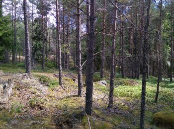 Trail On foot  - Sjöarna runt - Photo