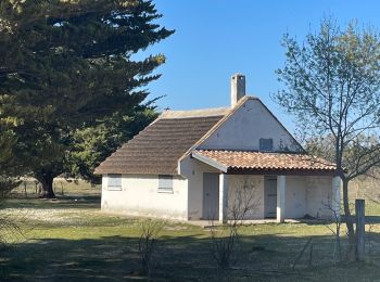 Tour Wandern Candillargues - Candiargues - Photo