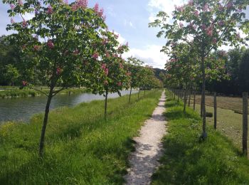 Trail Mountain bike Port-sur-Saône - VTT Montigny les Vesoul - Photo