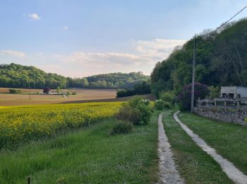 Tocht Stappen Fourdrain - circuit forêt de Saint-gobain- départ Fourdrain  - Photo