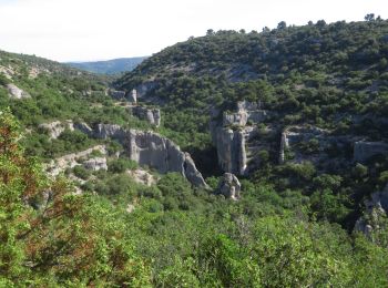 Trail On foot Gordes - Gordes 10 km - Photo