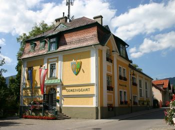 Tour Zu Fuß Gemeinde Puchberg am Schneeberg - Puchberg Laufstrecke 1 - Photo