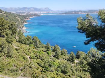 Trail Walking La Seyne-sur-Mer - Fabregas, parking des bœufs, plage des nudistes, notre dans de mai - Photo