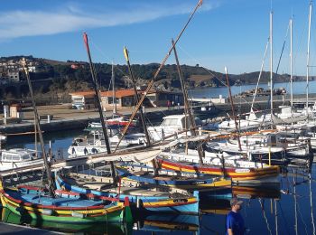 Randonnée Marche Banyuls-sur-Mer - banyuls . coll de gran bau . retour par le littoral  - Photo