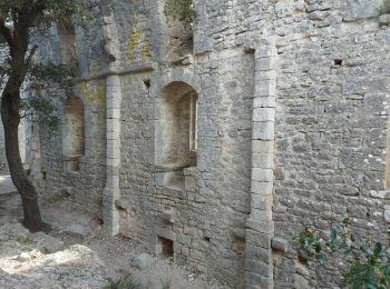 Trail Walking Valflaunès - autour fe valfaunes 34 et par les crêtes - Photo